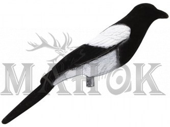 soroka-00933-dlya-sajta -1